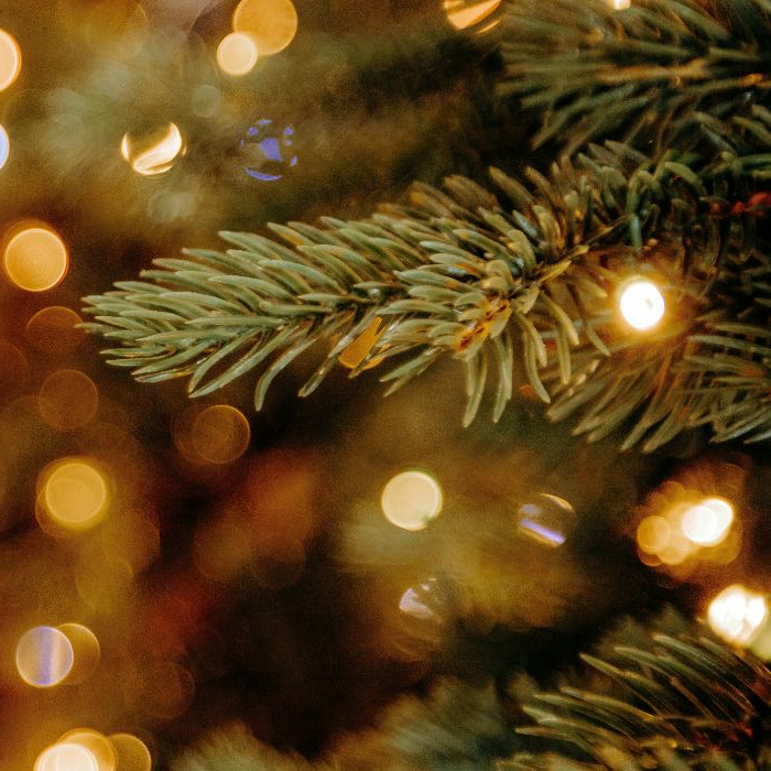 Alternatieve kerstbomen
