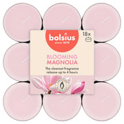 geurtheelichten 4u true scents magnolia