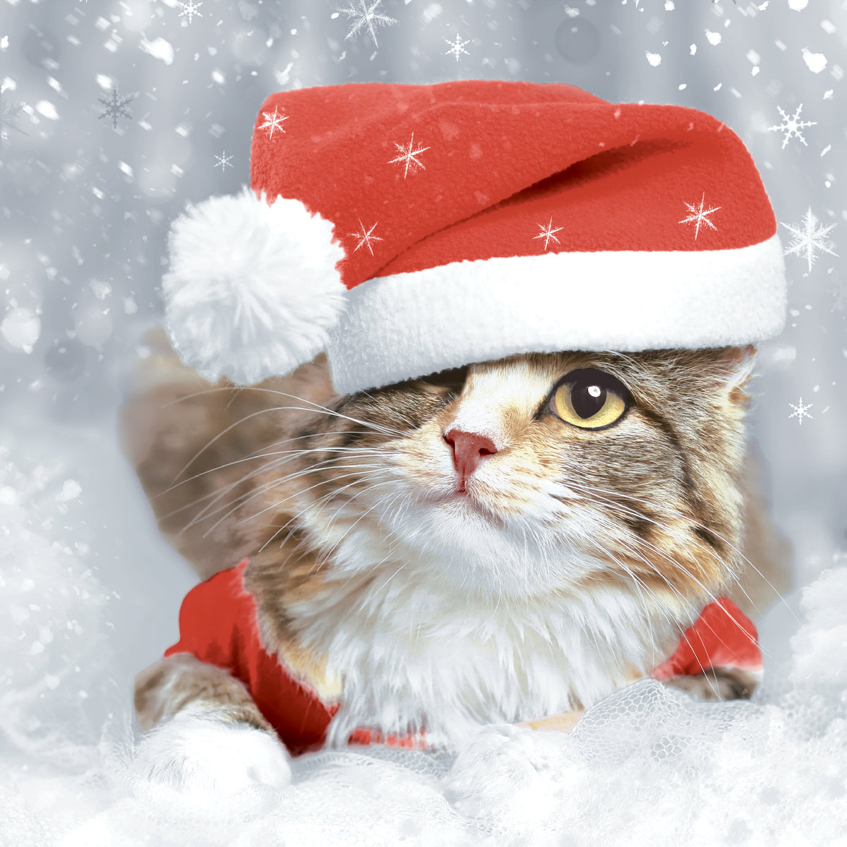 servetten kitten christmas 3-laags tissue 33 x 33 cm