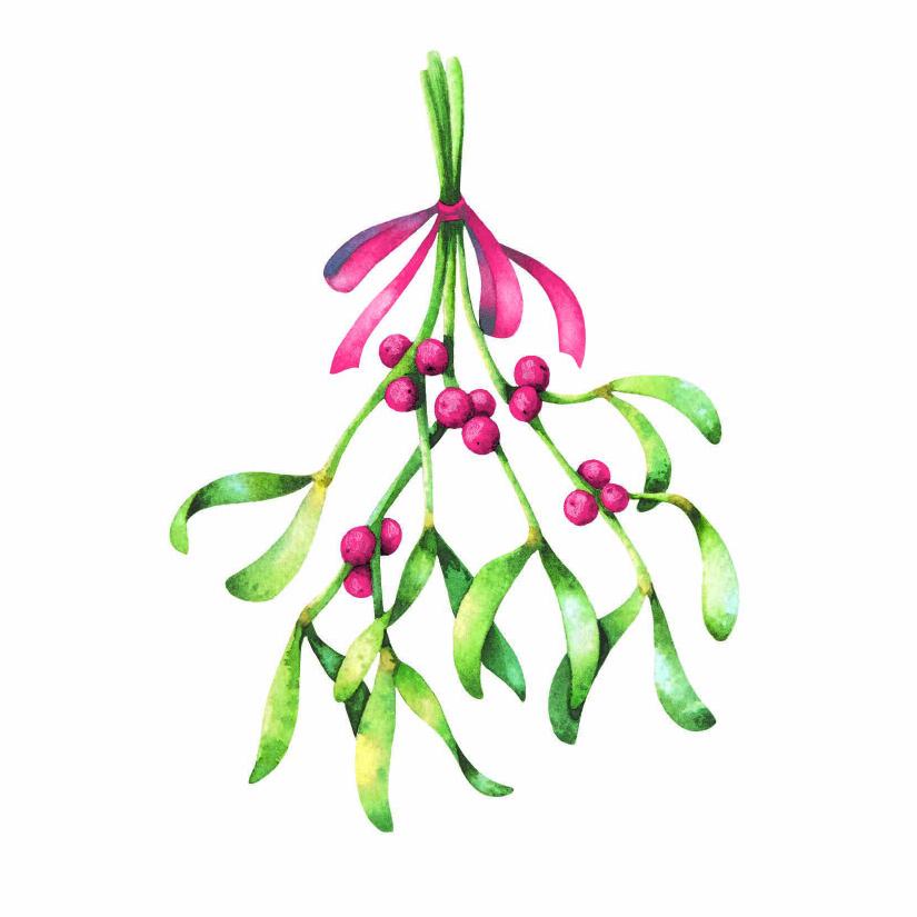 servetten xmas mistletoe
