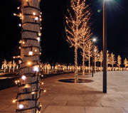 connect de luxe 100led warm wit en flash 10m, 10cm afstand tussen de leds, rubber kabel zwart