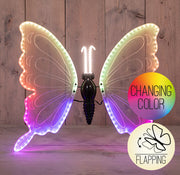 vlinder led rgb 60cm bewegende vleugels --incl.afstandbediening 5mtr aanloopsnoer - ip44 transformer - colourbox