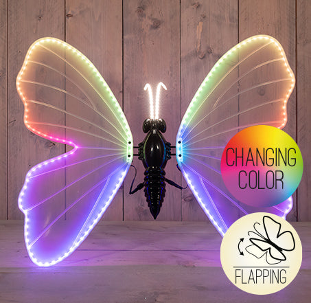 vlinder led rgb 80cm bewegende vleugels -incl.afstandbediening 5mtr aanloopsnoer - ip44 transformer - colourbox