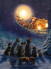 b.o. led canvas 40x30cm honden volle maan 3led / 2aa