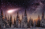 b.o. led canvas 58x38cm winter landschap 42 fiber + vallende ster / 3aa
