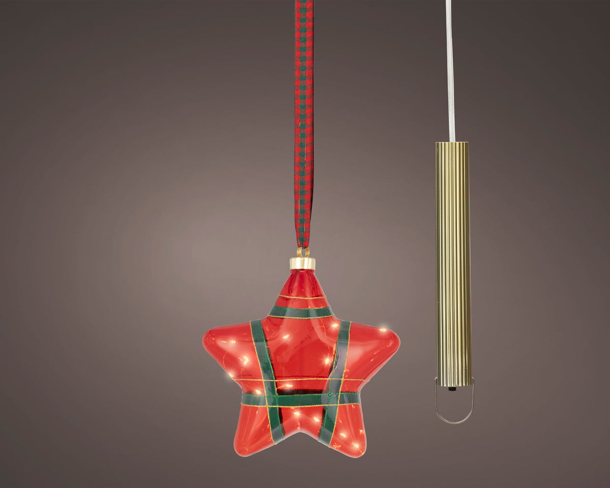 micro led ster steady binnen kerstrood/warm wit d.20cm x l.6.5cm