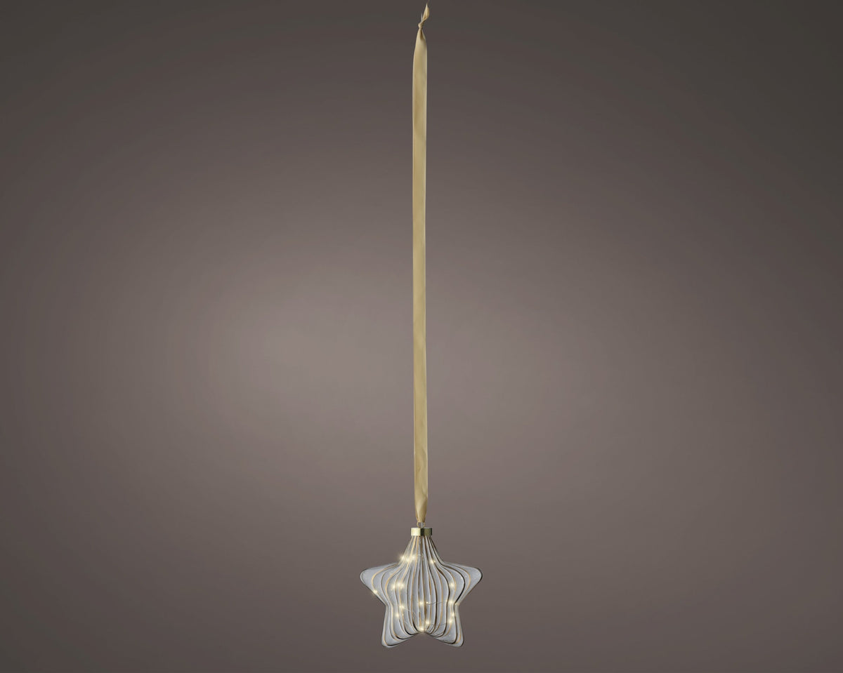 micro led ster steady binnen helder/warm wit l.6.5cm x w.20cm x h.20cm