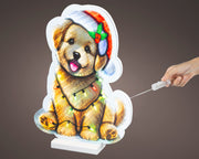 led infinity lights pet steady l.1.3cm w.26cm h.36cm