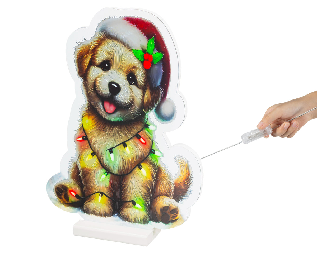 led infinity lights pet steady l.1.3cm w.26cm h.36cm