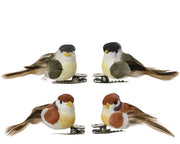 vogel veer op clip 4ass assortie l.2cm x w.5.5cm x h.2.5cm