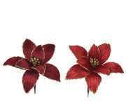 poinsettia op clip polyester fluweel on clip 2col ass rood/kleur(en) d.13cm x h.5cm