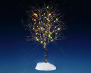 butternut tree, clear light, b/o (4.5v)