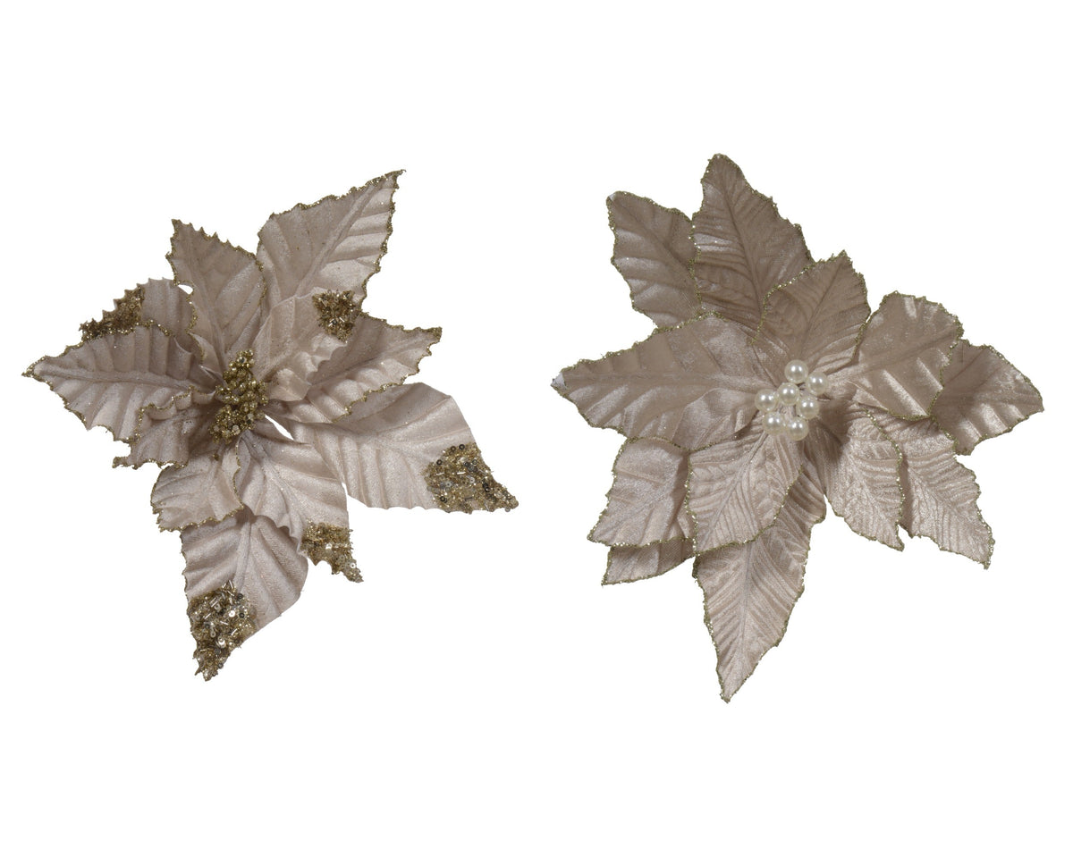 poinsettia op clip polyester glitter velvet 2ass champagne d.30cm x h.4cm
