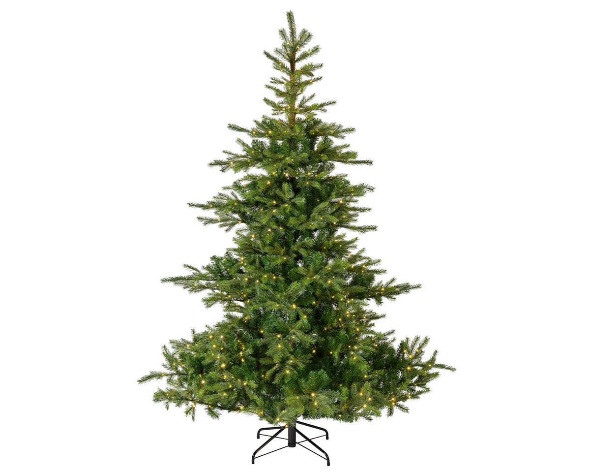 grandis fir led indoor groen/warm wit d.162cm h.240cm 5200l