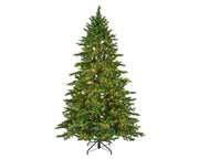 galloway spruce led indoor groen/warm wit d.150cm h.240cm 5400l