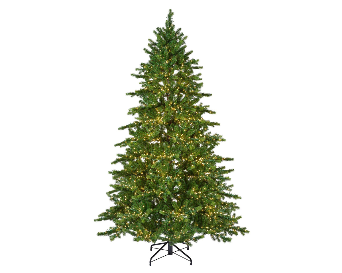 galloway spruce led indoor groen/warm wit d.150cm h.240cm 5400l