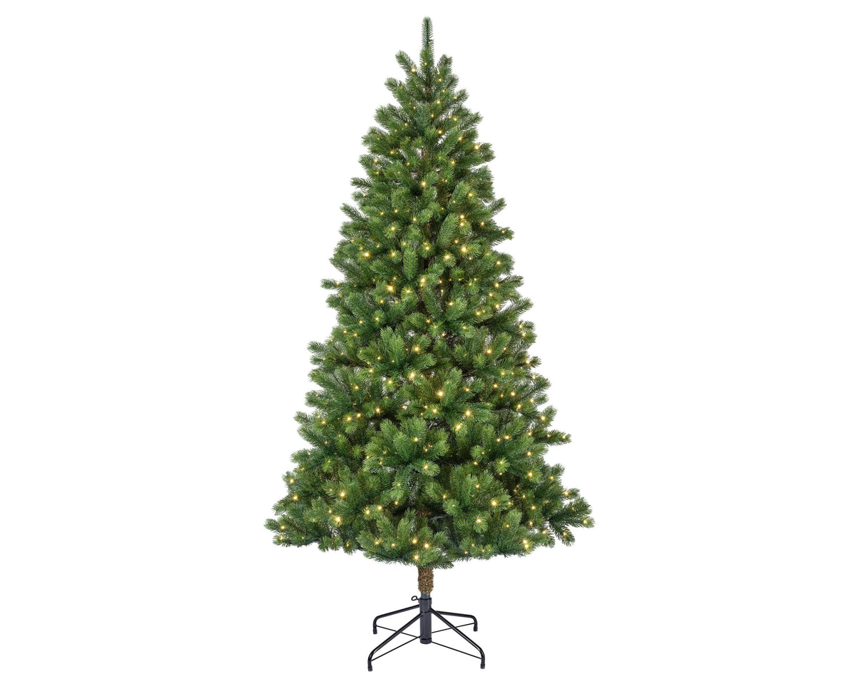kenmore fir micro led indoor groen/warm wit d.132cm h.240cm 700l