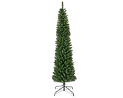 pencil pine groen d.60cm h.210cm