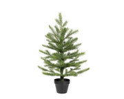 grandis mini boom binnen groen d.44cm x h.60cm