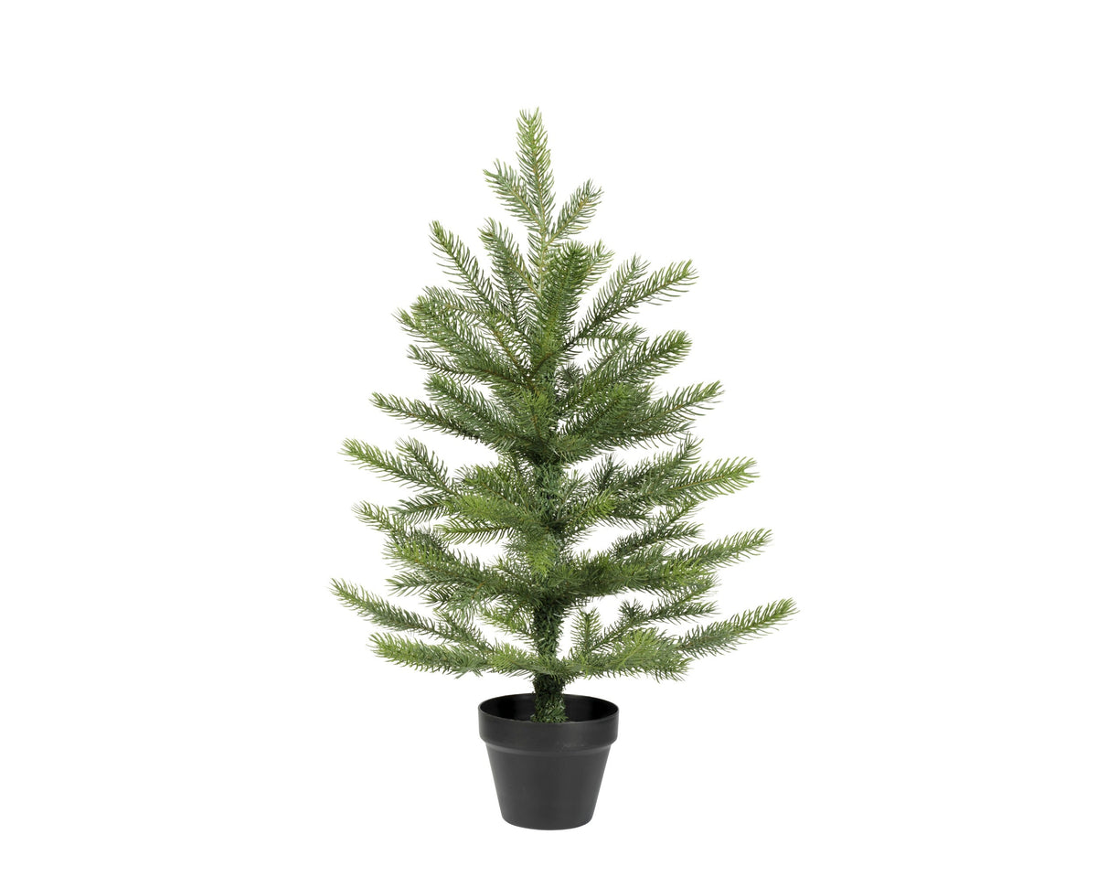 grandis mini boom binnen groen d.44cm x h.60cm
