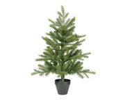 grandis mini boom binnen groen d.51cm x h.75cm