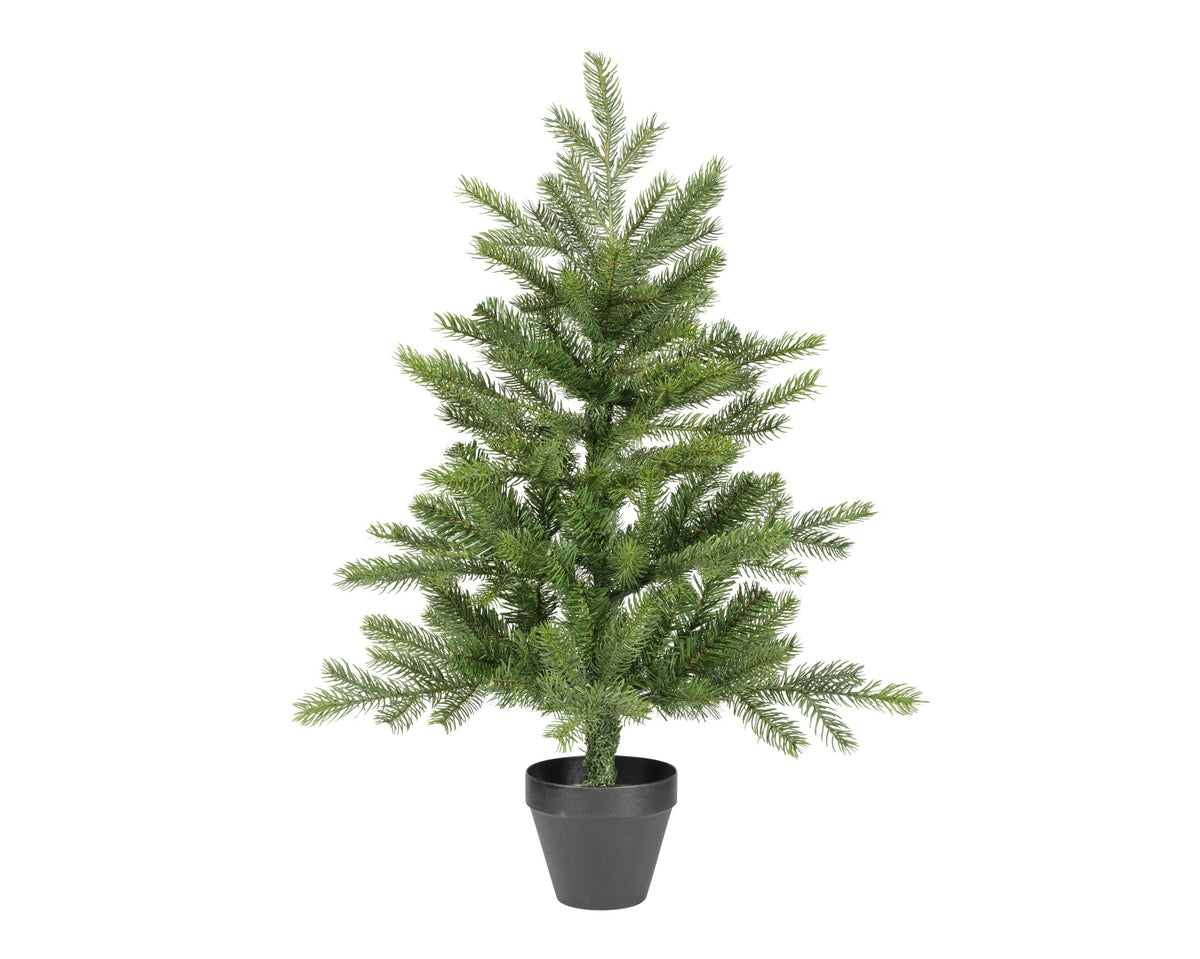 grandis mini boom binnen groen d.51cm x h.75cm