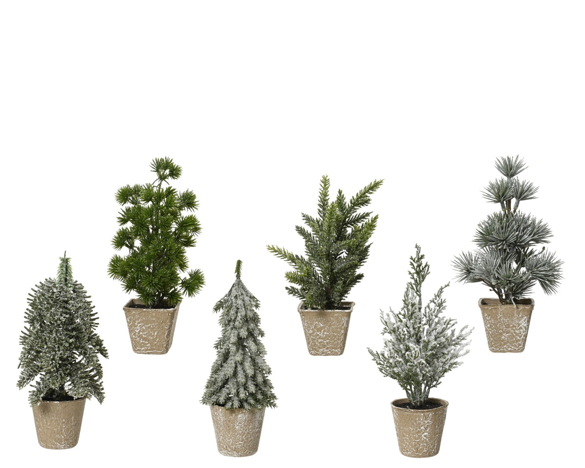 mini boom assorted 6ass binnen groen l.8cm x w.8cm x h.20cm