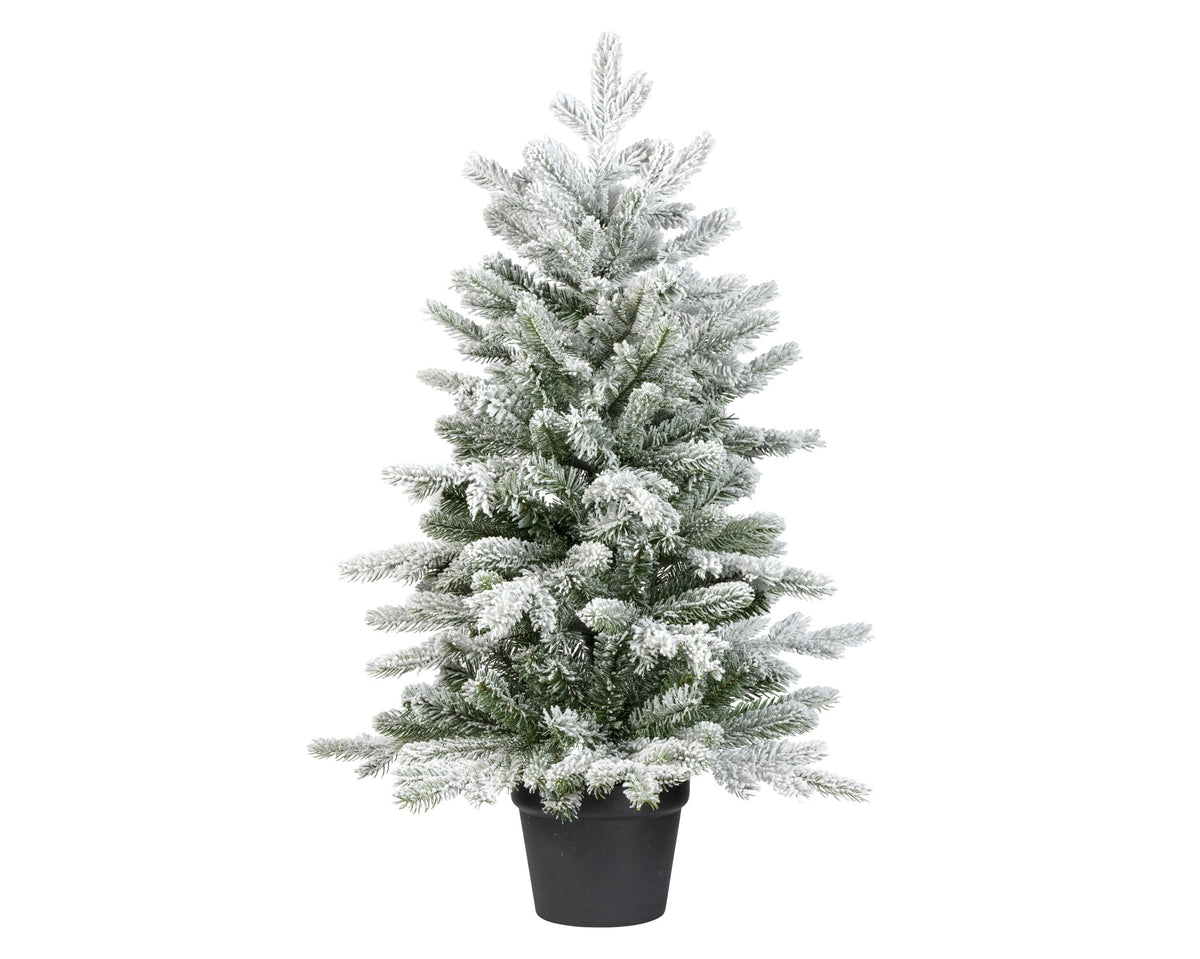 grandis mini boom snowy binnen groen/wit d.63cm x h.90cm