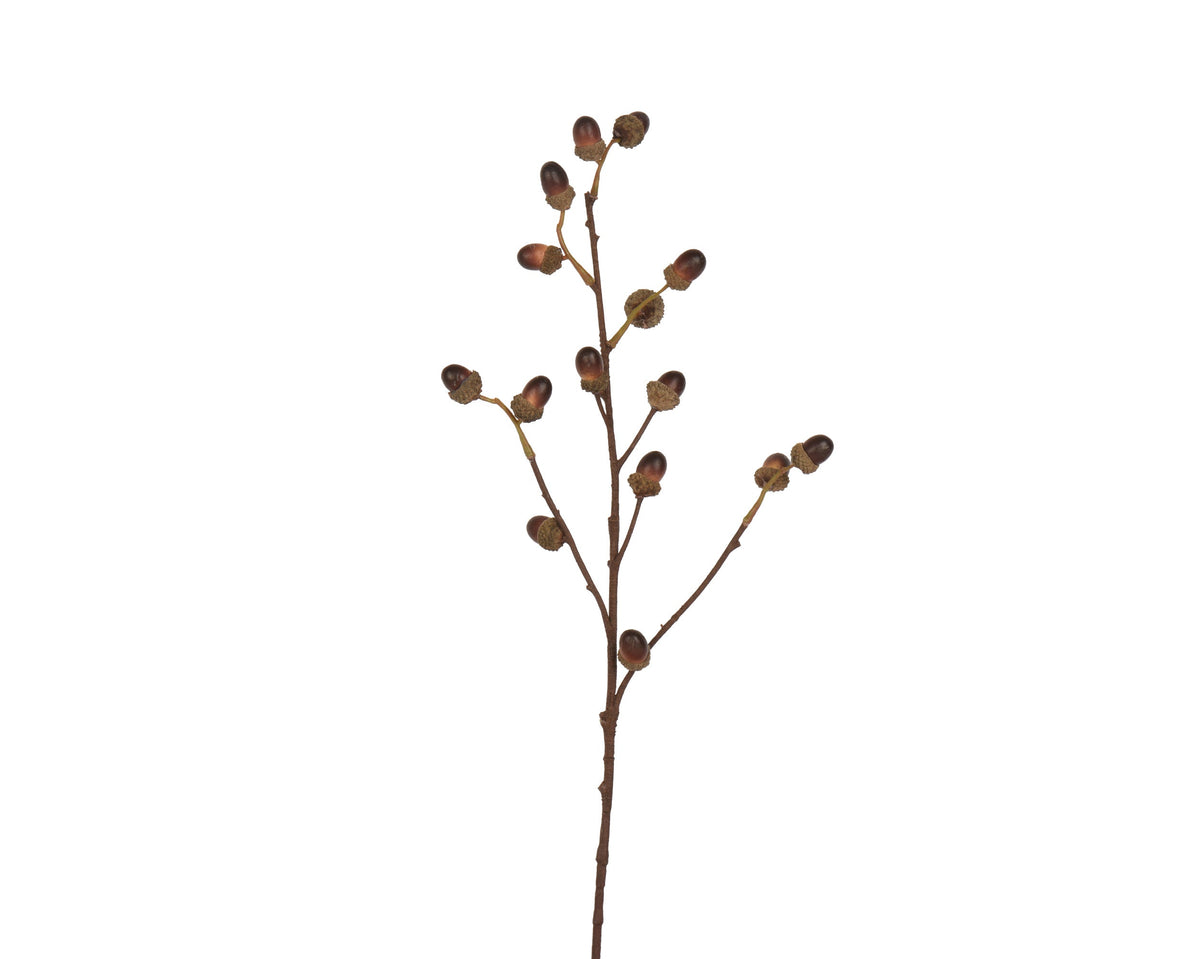 spray foam acorns bruin l.28cm x w.8cm x h.73cm