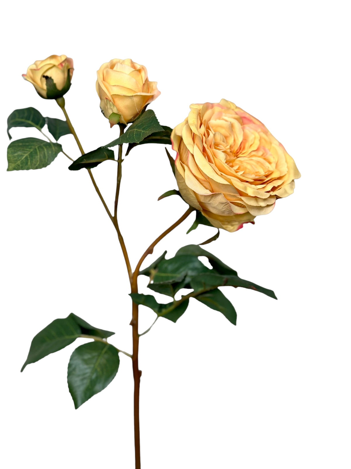 rose spray x 1 open + 2 knop 55 cm oker