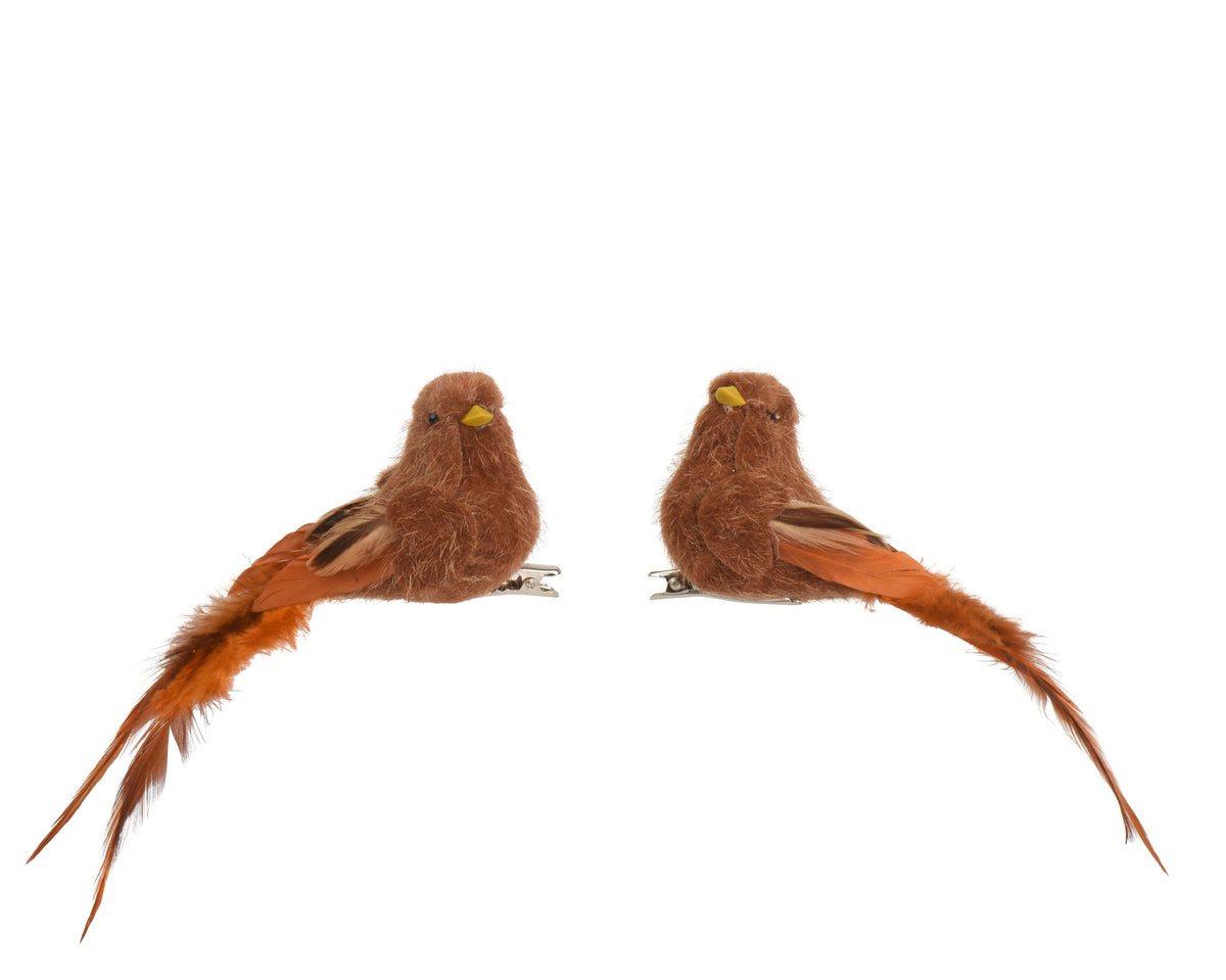 vogel polyester feather 2ass bruin l.10cm x w.4cm x h.5.5cm