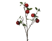 spray foam rood/kleur(en) l.20cm x w.13cm x h.60cm