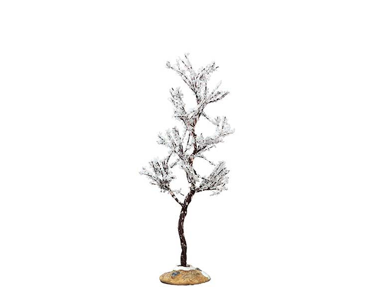morning dew tree, small
