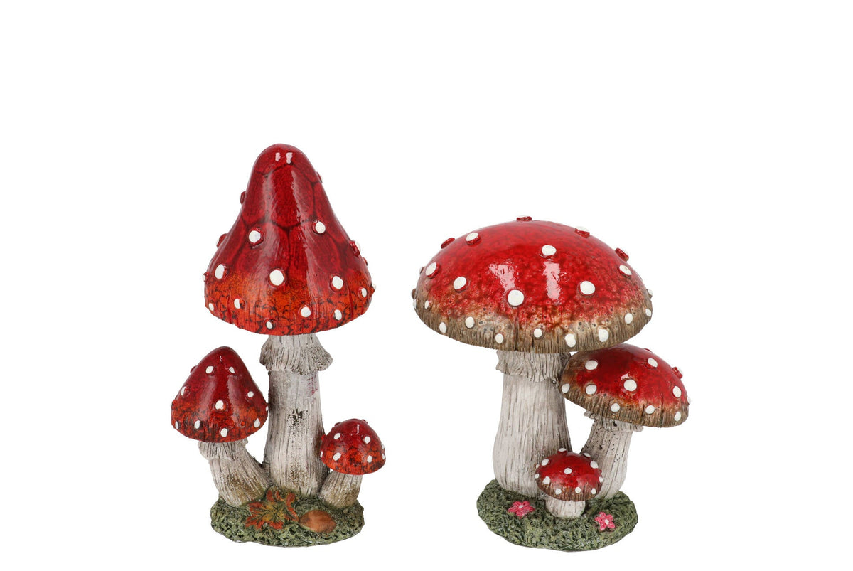 wonderland red mushroom boletus  ass 8x8x9cm