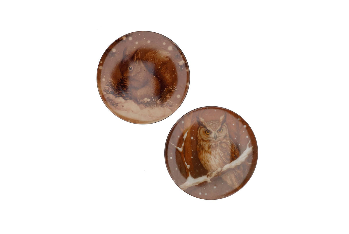 melamine print brown plate owl squirrel ass 28x28cm