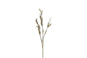 tak salix l.bruin