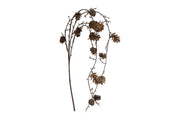 den treur/hang larix bruin