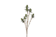 bloem eryngium blauw