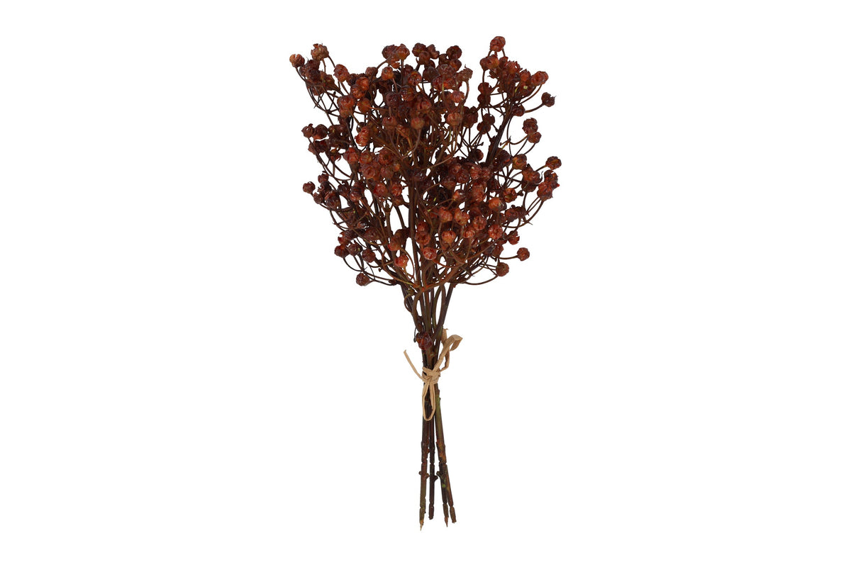 bundel ilex serrata bruin