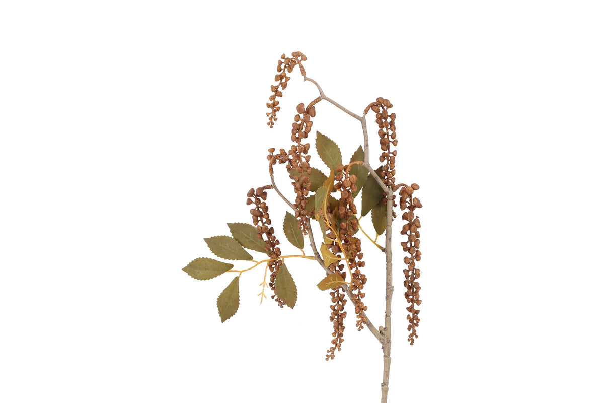 bloem phytolacca crème