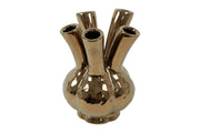 vaas ro moya 5x s goud