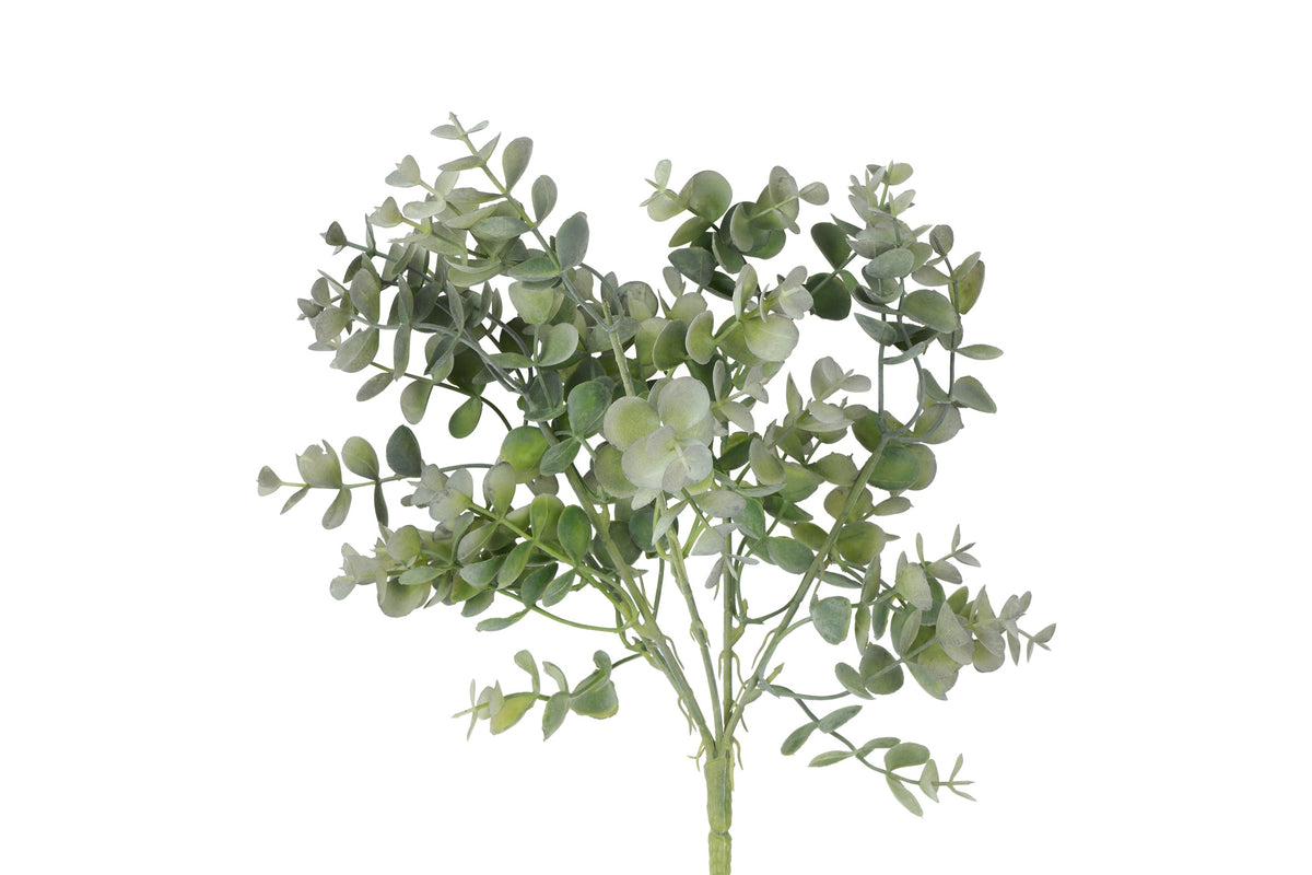 plant steker eucalyptus s grijsgroen