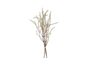 bundel corylus champagne