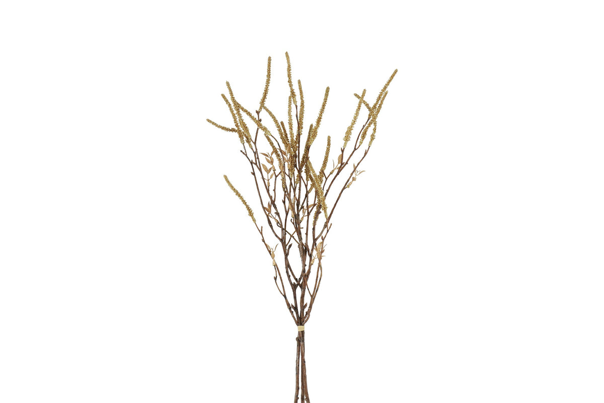 bundel corylus goud