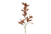 blad quercus rubra oranje