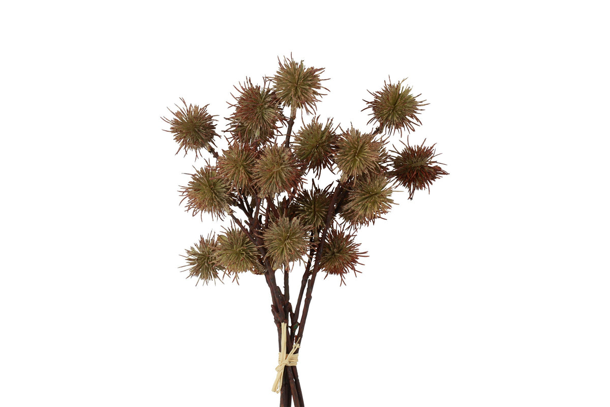 bundel castanea groen