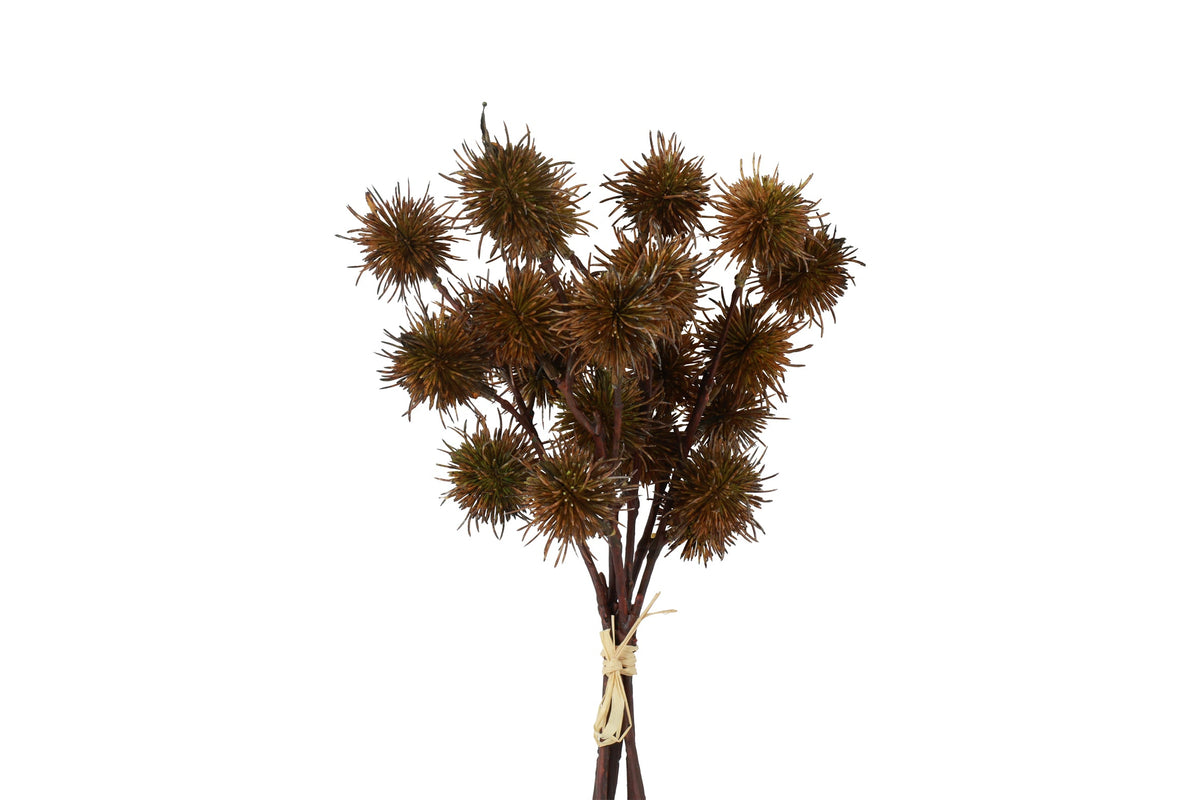 bundel castanea groen