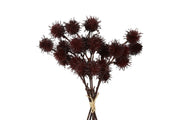 bundel castanea groen