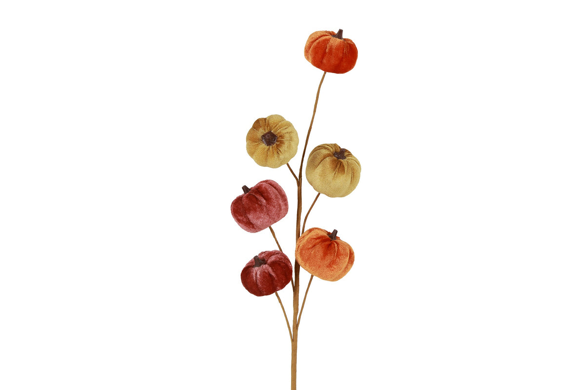 bloem steker pompon cucurbita veelkleurig