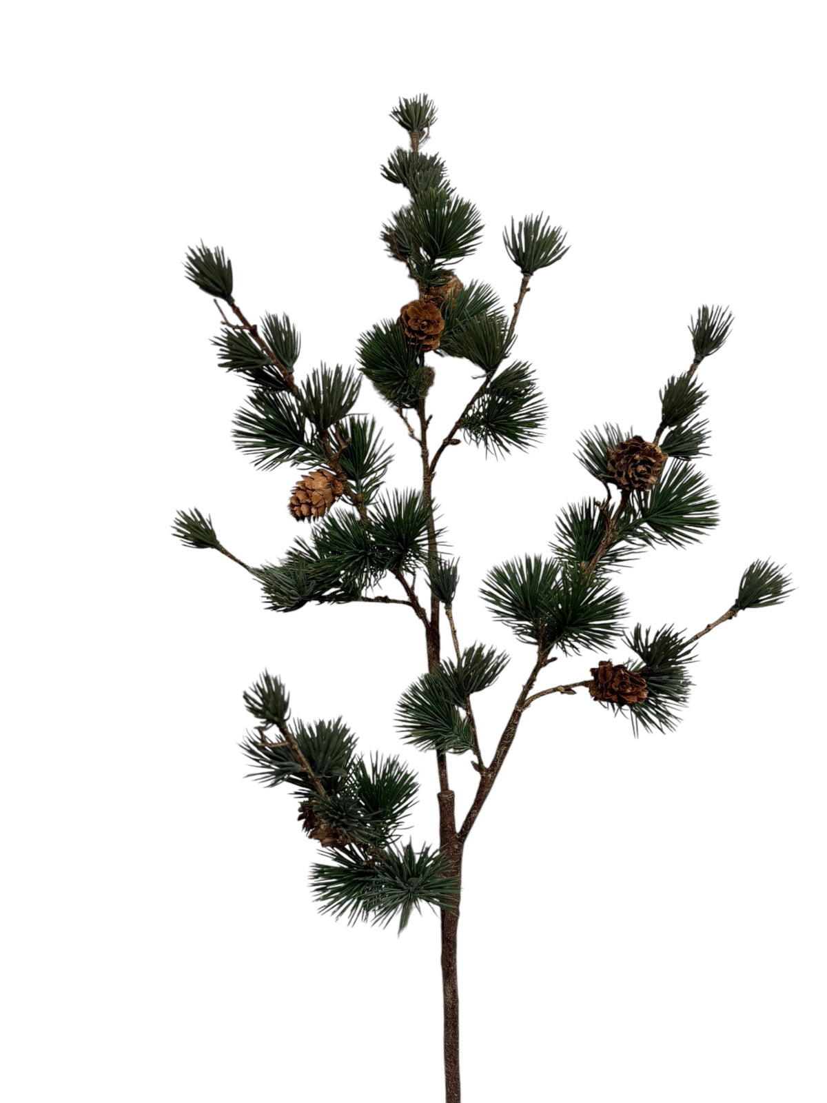 ceder spray w/cone 100 cm grey